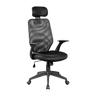 Ergonomic Mesh Office Chair