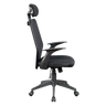 Ergonomic Mesh Office Chair