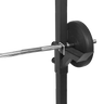 Bench Press Gym Rack and Chin Up Bar