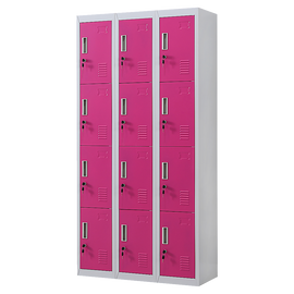 12-Door Locker for Office Gym Shed School Home Storage - Standard Lock with 2 Keys