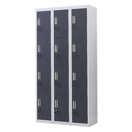 12-Door Locker for Office Gym Shed School Home Storage - Standard Lock with Keys