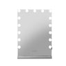 Embellir Makeup Mirror 43X61cm Hollywood with Light Vanity Dimmable Wall 15 LED