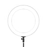 Embellir Ring Light 19" LED 6500K 5800LM Dimmable Diva With Stand Silver
