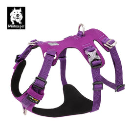 Whinhyepet Harness Purple L
