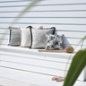 Cushion Cover-Coastal Fringe Black-Paint Stripes-60cm x 60cm