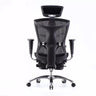 Sihoo Ergonomic Office Chair V1 4D Adjustable High-Back Breathable With Footrest And Lumbar Support Grey