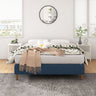 Metal Bed Frame Mattress Foundation Blue - Single