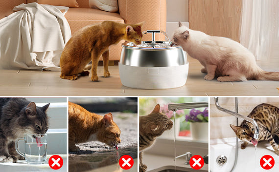 YES4PETS 3L Automatic Electric Pet Water Fountain Dog Cat Stainless Steel Feeder Bowl Dispenser White