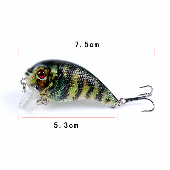 6x Popper Poppers 5cm Fishing Lure Lures Surface Tackle Fresh Saltwater