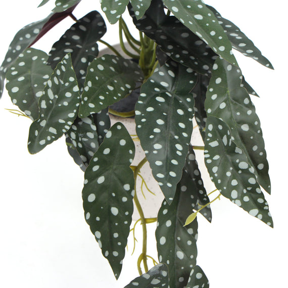 Artificial Bergonia Plant In Decorative Bowl 30cm