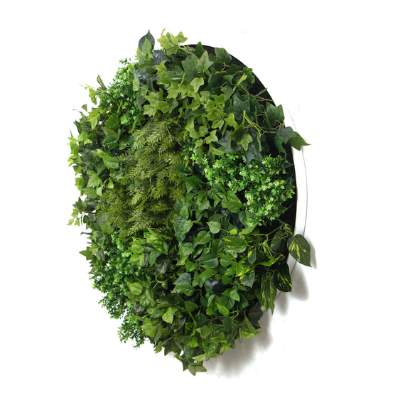 Slimline Artificial Green Wall Disc Art 80cm Mixed Green Fern & Ivy (White)