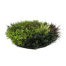 Slimline Artificial Green Wall Disc Art 80cm Green Field UV Resistant (Black)