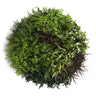 Slimline Artificial Green Wall Disc Art 80cm Green Field UV Resistant (Black)