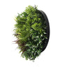 Slimline Artificial Green Wall Disc Art 50cm Green Field UV Resistant (Black)