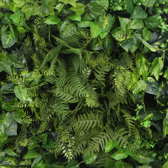 Slimline Artificial Green Wall Disc Art 80cm Mixed Green Fern & Ivy (Modern Black)