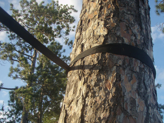 Pair of Tree Straps in Black